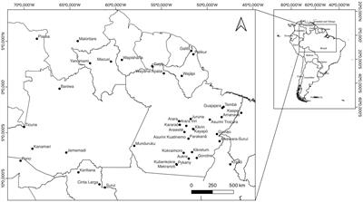 Long-term prevalence follow-up (1967–2022) of HTLV-2 among vulnerable indigenous populations in the Amazon region of Brazil